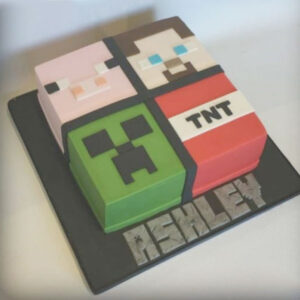 Mine Craft Cake